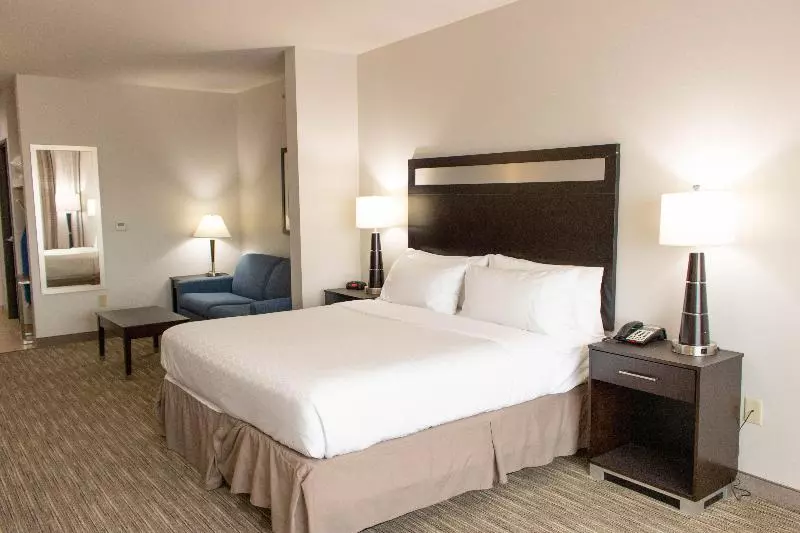 سوئیت با تخت بزرگ, Holiday Inn Express Hotel & Suites Temple Medical Center Area, An Ihg