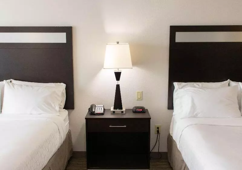 اتاق استاندارد برای معلولان, Holiday Inn Express Hotel & Suites Temple Medical Center Area, An Ihg