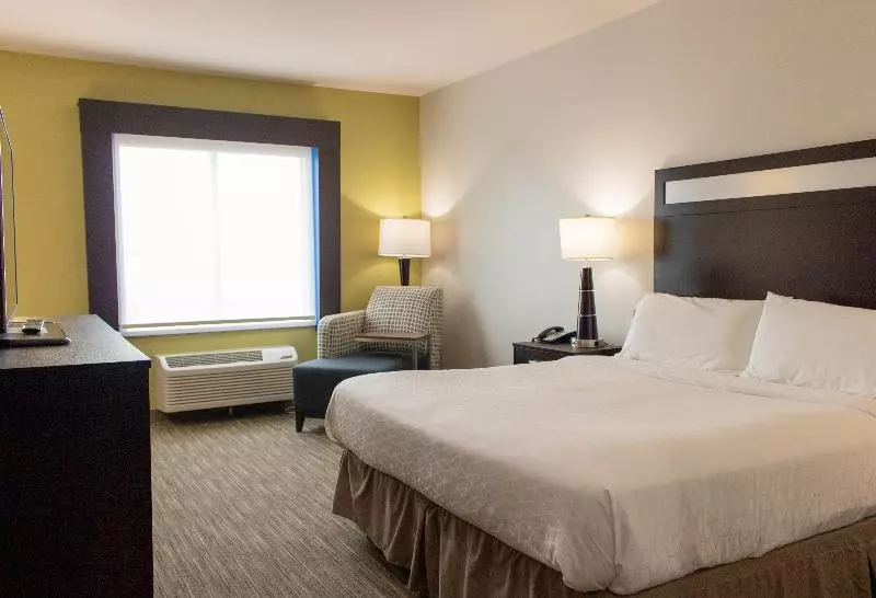 اتاق لوکس با تخت بزرگ, Holiday Inn Express Hotel & Suites Temple Medical Center Area, An Ihg