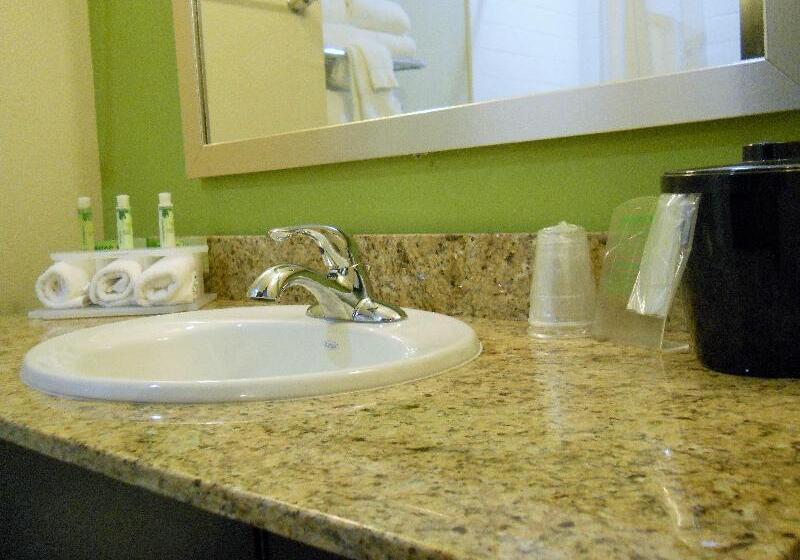 غرفة ديلوكس سرير كينج, Holiday Inn Express Hotel & Suites Temple Medical Center Area, An Ihg