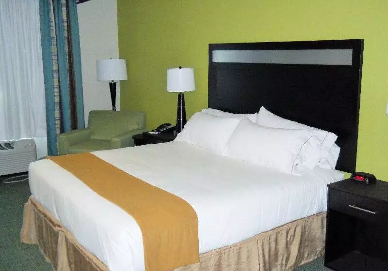 اتاق لوکس با تخت بزرگ, Holiday Inn Express Hotel & Suites Temple Medical Center Area, An Ihg