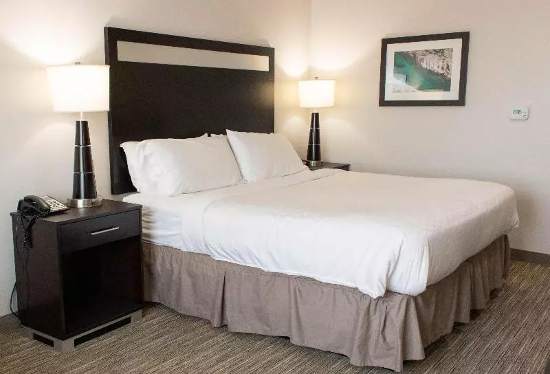 اتاق لوکس با تخت بزرگ, Holiday Inn Express Hotel & Suites Temple Medical Center Area, An Ihg