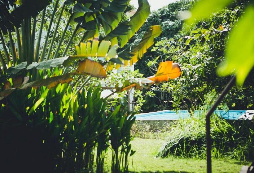 ویلای 1 خوابه, Iroha Garden Hotel & Resort