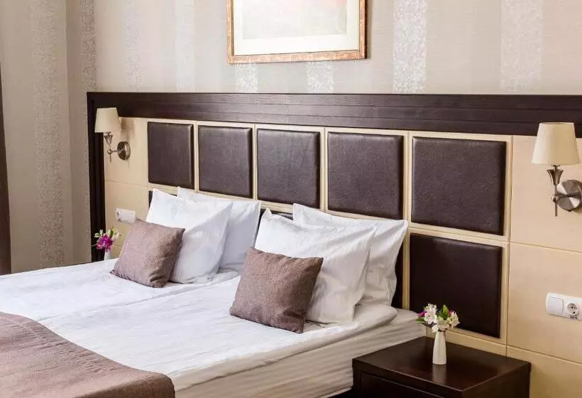 Habitació Estàndard, Taurus Hotel & Spa