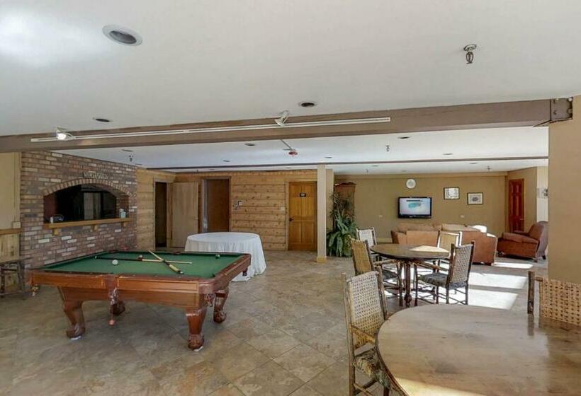 带1个卧室的公寓, Cascade 347