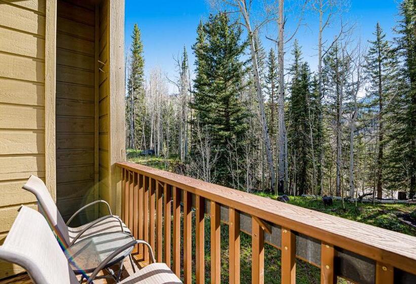 带1个卧室的公寓, Cascade 347