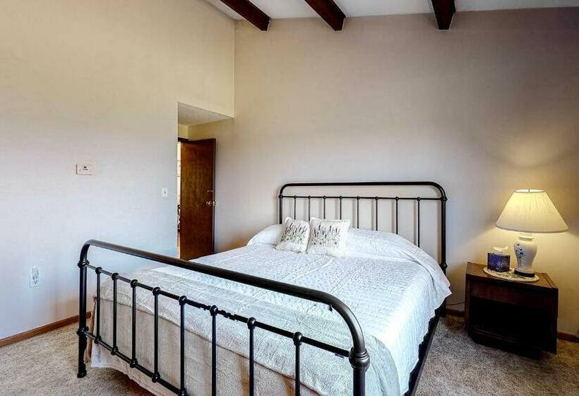 شقة غرفة واحدة, Squaw Village Condo