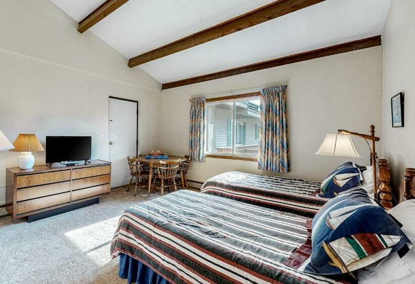 شقة غرفة واحدة, Squaw Village Condo