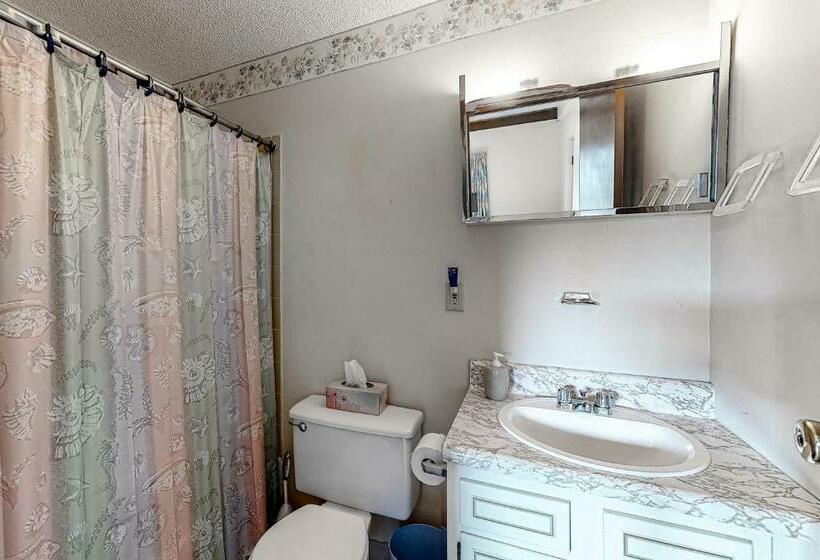 شقة غرفة واحدة, Squaw Village Condo