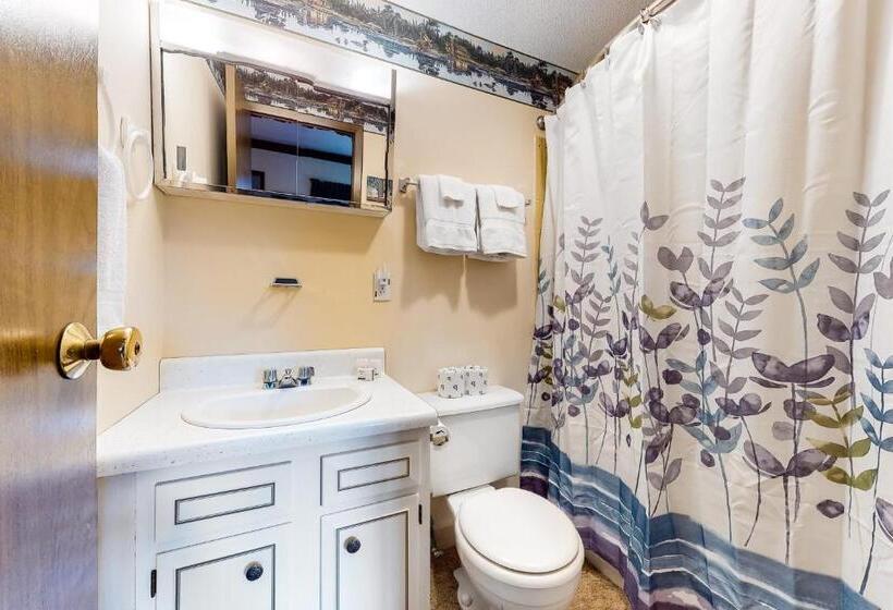 شقة غرفة واحدة, Squaw Village Condo