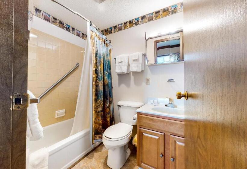 شقة غرفة واحدة, Squaw Village Condo