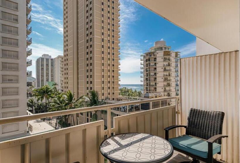 חדר סטודיו סטנדרד, Seashore 93