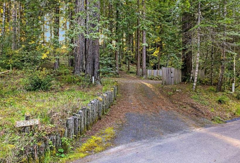 חדר סטודיו סטנדרד, The Tea House