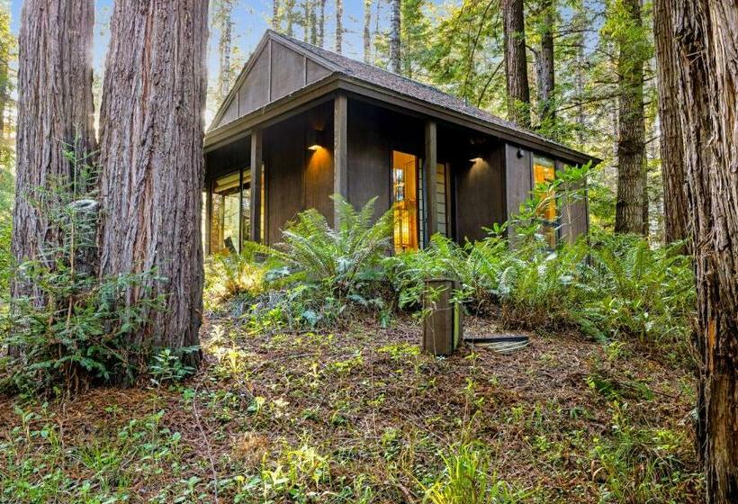 חדר סטודיו סטנדרד, The Tea House