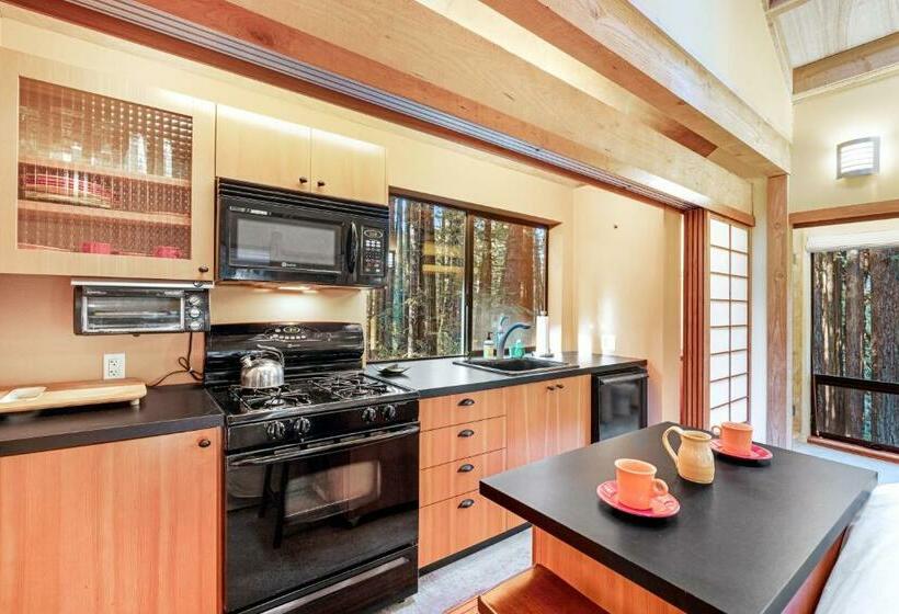 スタンダードスタジオ, The Tea House