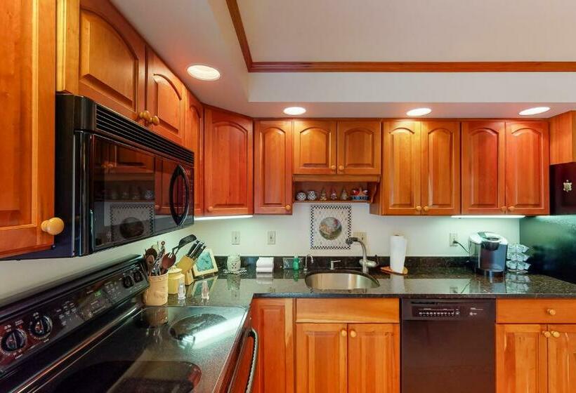 Апартаменты 3 Спальни, Bromley Mountain Condo Cd2