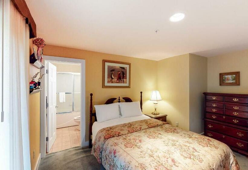 شقة 3 غرف, Bromley Mountain Condo Cd2