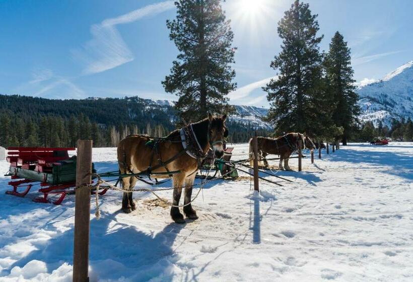 Студия Стандарт, Aspen Suites 506: The Nest