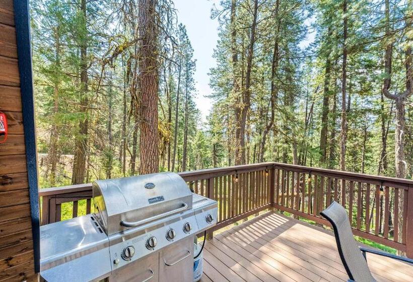 スタンダードスタジオ, Copper Top Chalet