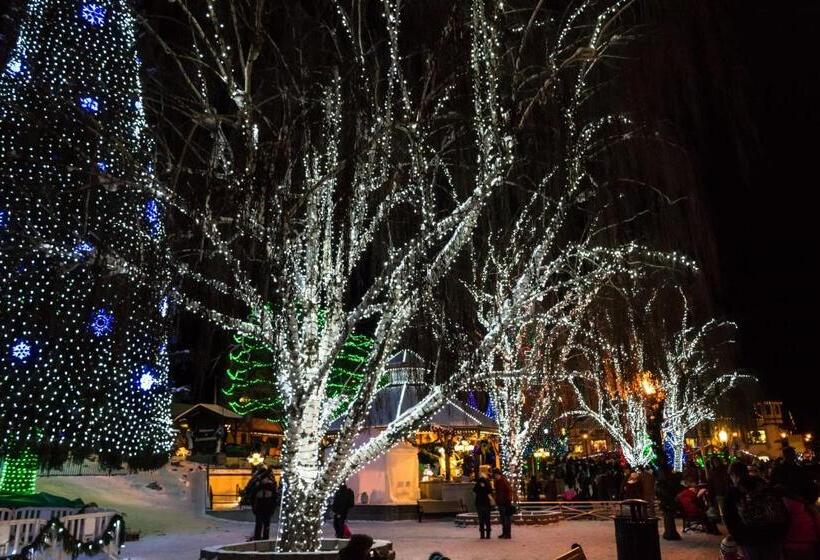 スタンダードスタジオ, Copper Top Chalet