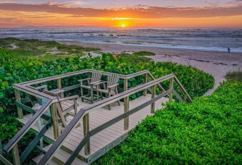 شقة غرفة واحدة, Tucked Away In The Sand