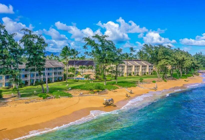 استودیوی استاندارد, Islander On The Beach 361