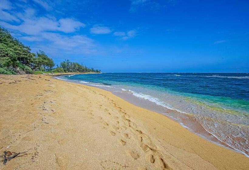 스탠다드 스튜디오, Islander On The Beach 361