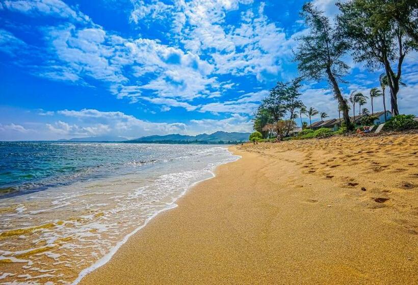 استودیوی استاندارد, Islander On The Beach 361