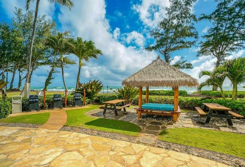 استودیوی استاندارد, Islander On The Beach 361