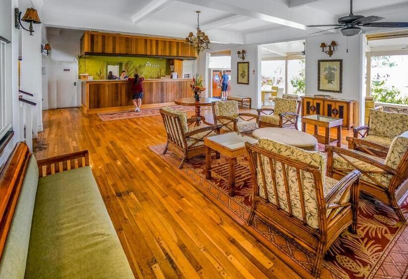 استودیوی استاندارد, Islander On The Beach 361