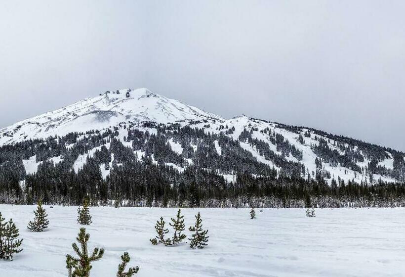 آپارتمان 2 خوابه, Woodpecker Lookout
