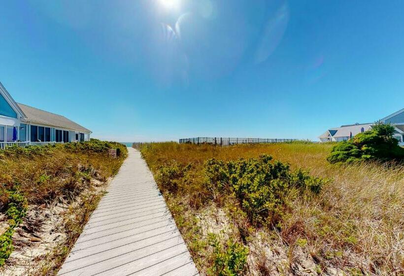 Студия Стандарт, Stay Sandy