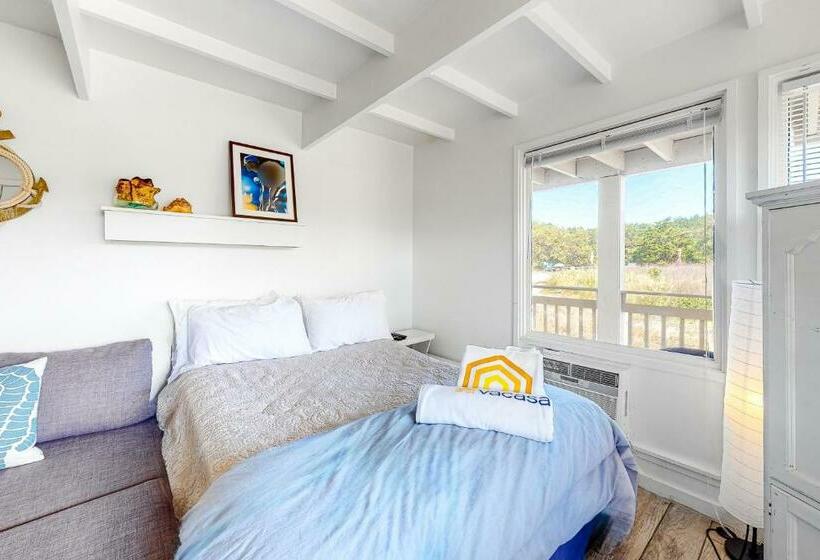 스탠다드 스튜디오, Stay Sandy