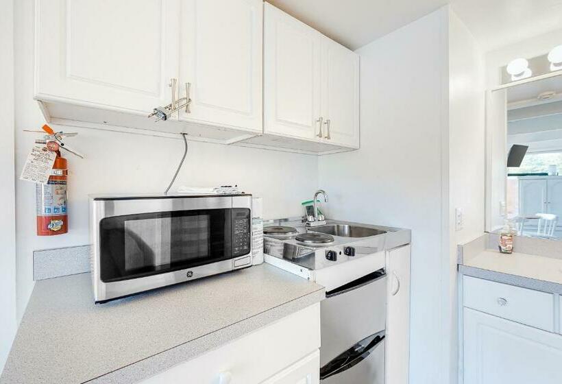 스탠다드 스튜디오, Stay Sandy