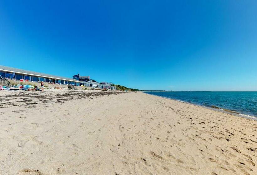 스탠다드 스튜디오, Stay Sandy