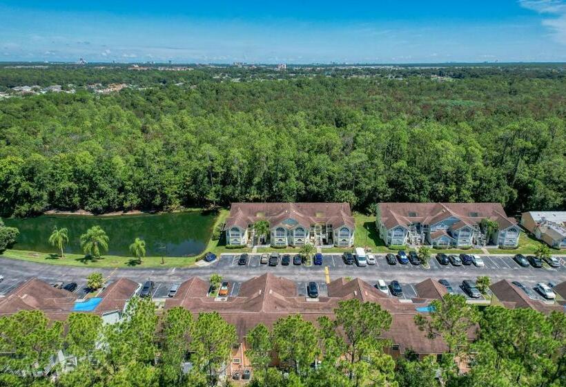 דירת שלושה חדרים, The Royal Respite