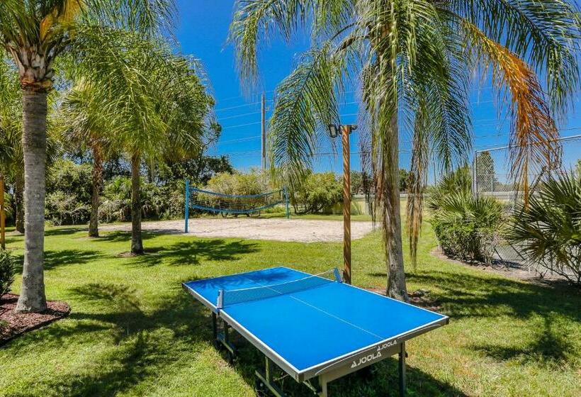 דירת שלושה חדרים, The Royal Respite