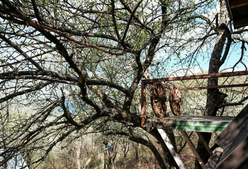 بنگله خانوادگی, Bungalows Old Town