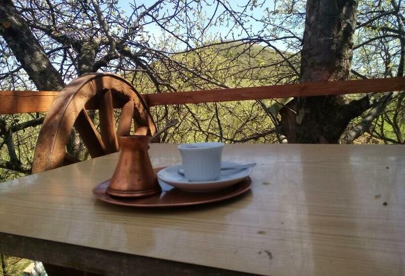 بنگله خانوادگی, Bungalows Old Town