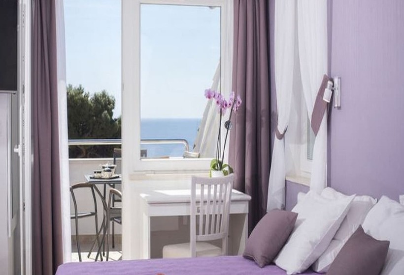 オーシャンビューバルコニー付スタンダードワンルーム, Apartments Milka & Miho