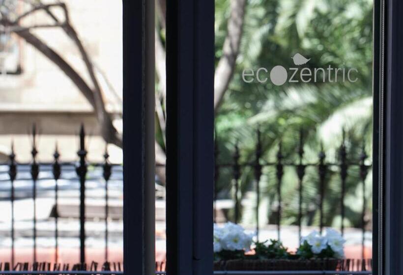 Номер Superior с Балконом, Ecozentric