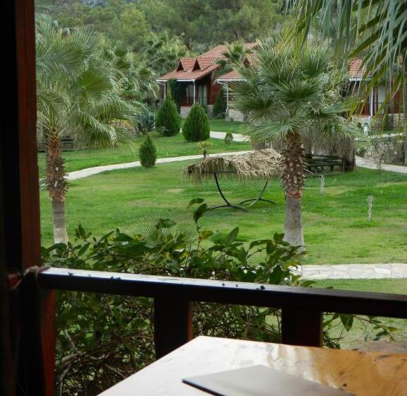 スタンダードルーム, Club Sun Village