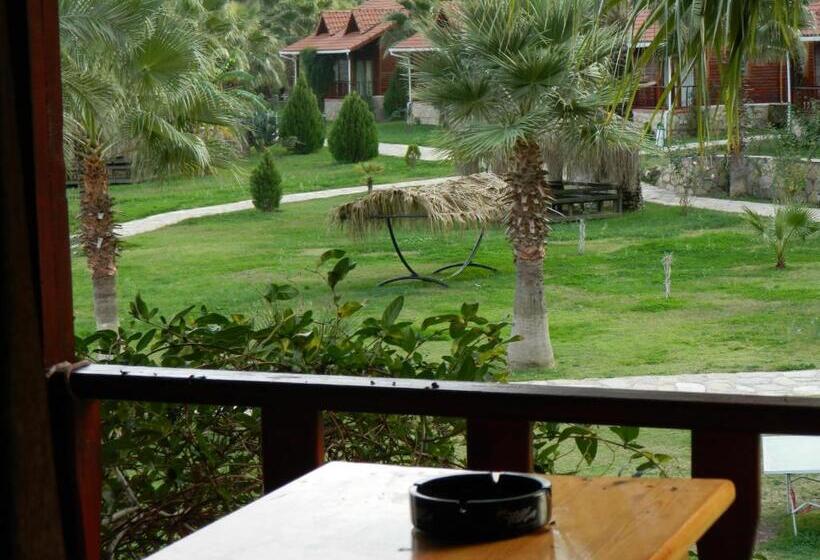 スタンダードルーム, Club Sun Village