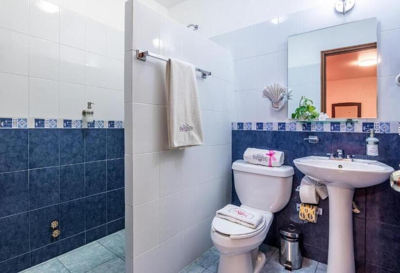 اتاق سوپریور با تخت بزرگ, Del Marquesado