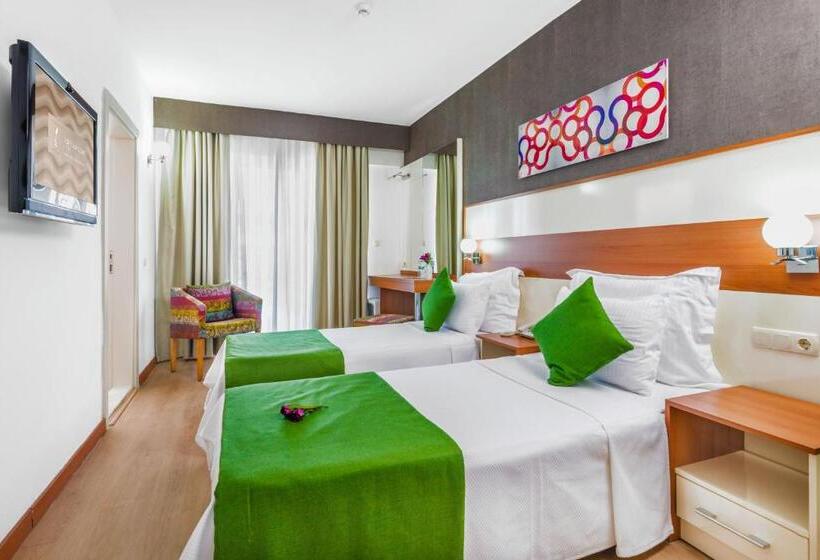 标准间, Ege Tulip