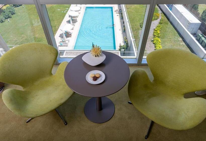 غرفة قياسية مطلّة علي الحديقة, The Grand