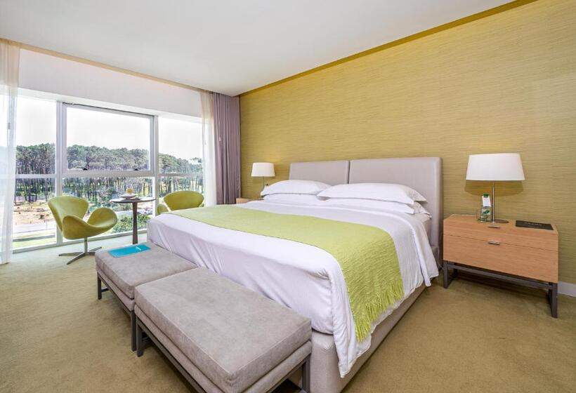 غرفة قياسية مطلّة علي الحديقة, The Grand