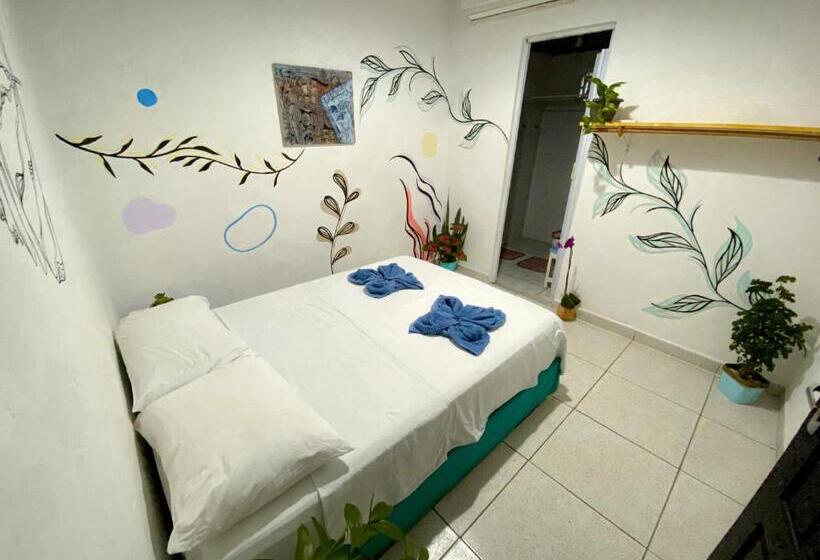 اتاق استاندارد, Aurora Hostel