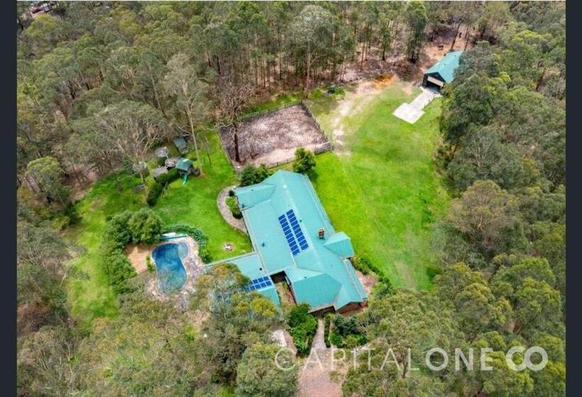 בית, חדר שינה 1, The Wonder Farm