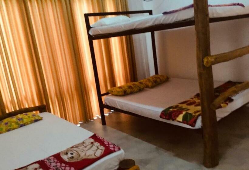 اتاق لوکس خانوادگی, Jungle City Hostel